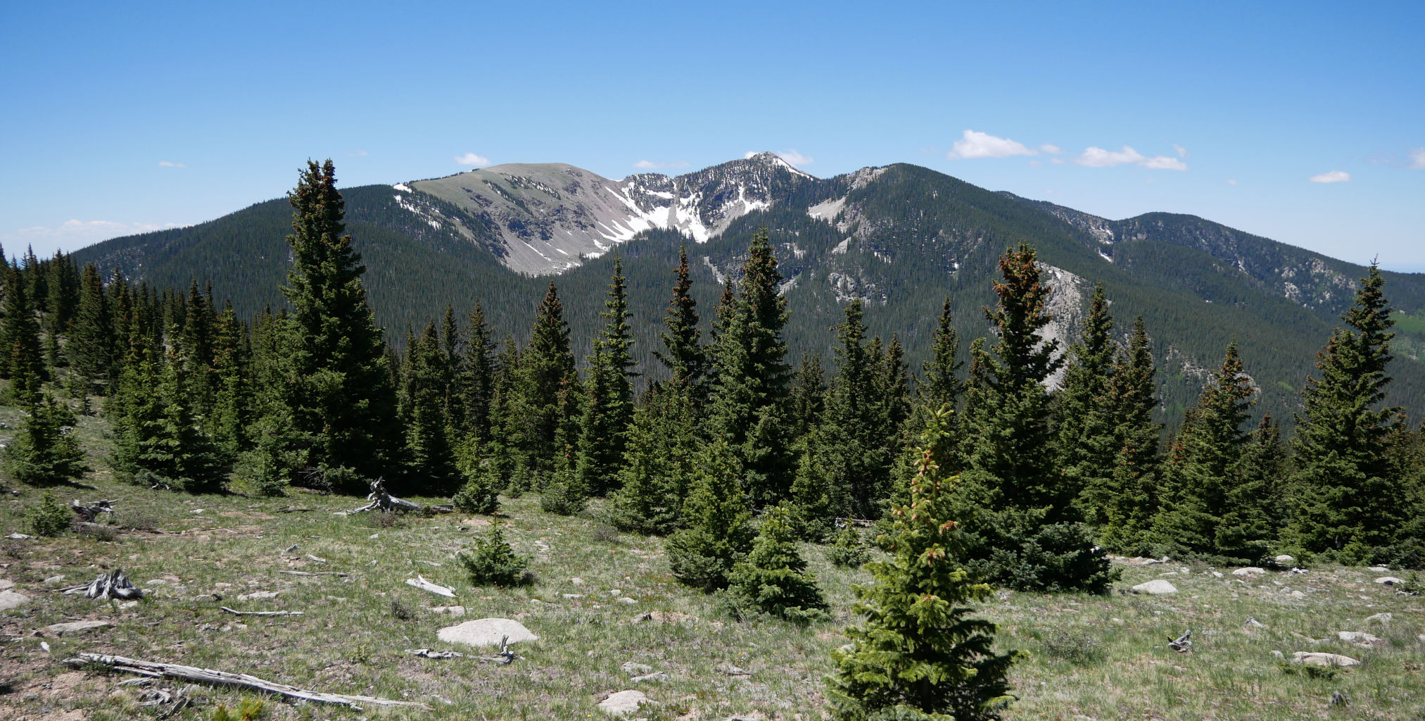 Baldy6.jpg